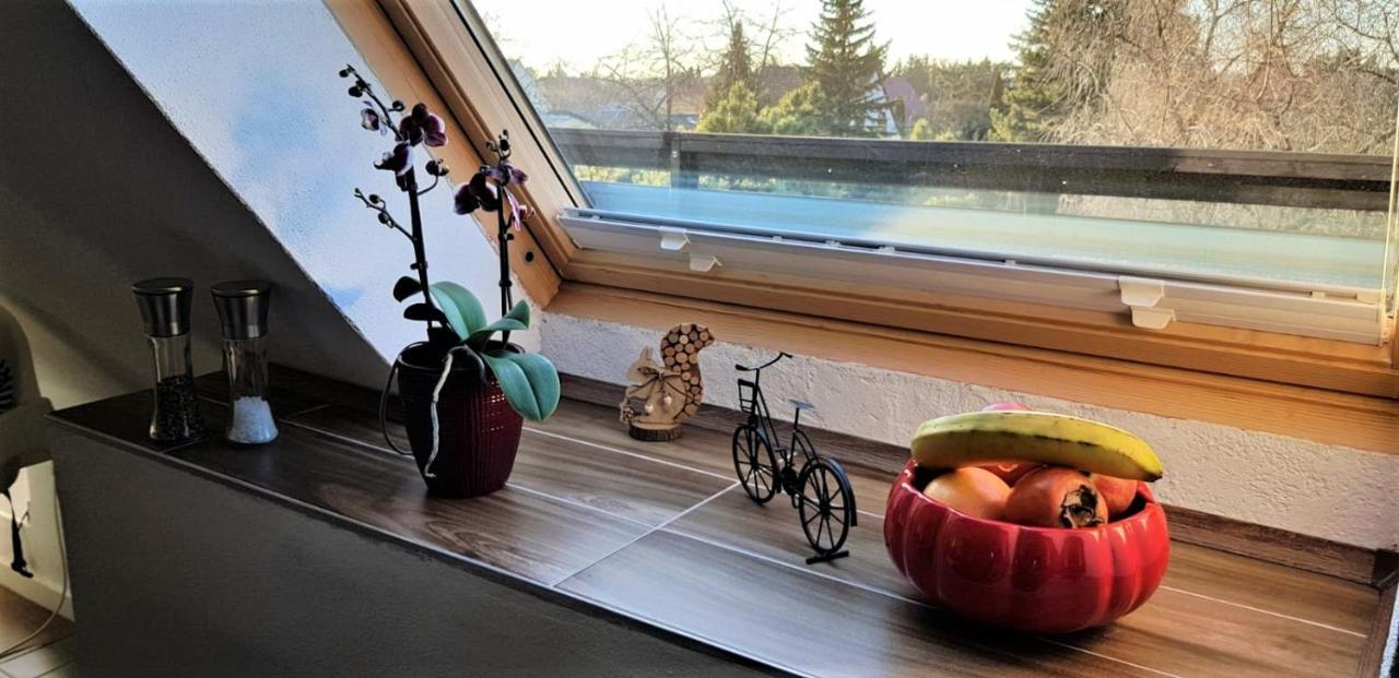 Ferienwohnung Am Park 莱比锡 外观 照片